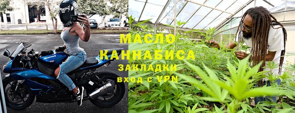индика Белокуриха