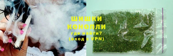 индика Белокуриха