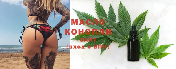 индика Белокуриха
