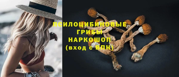 стафф Белоозёрский