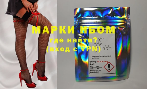 индика Белокуриха