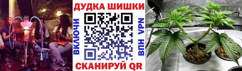 Бошки марихуана Ganja  Купить где  Бородино 